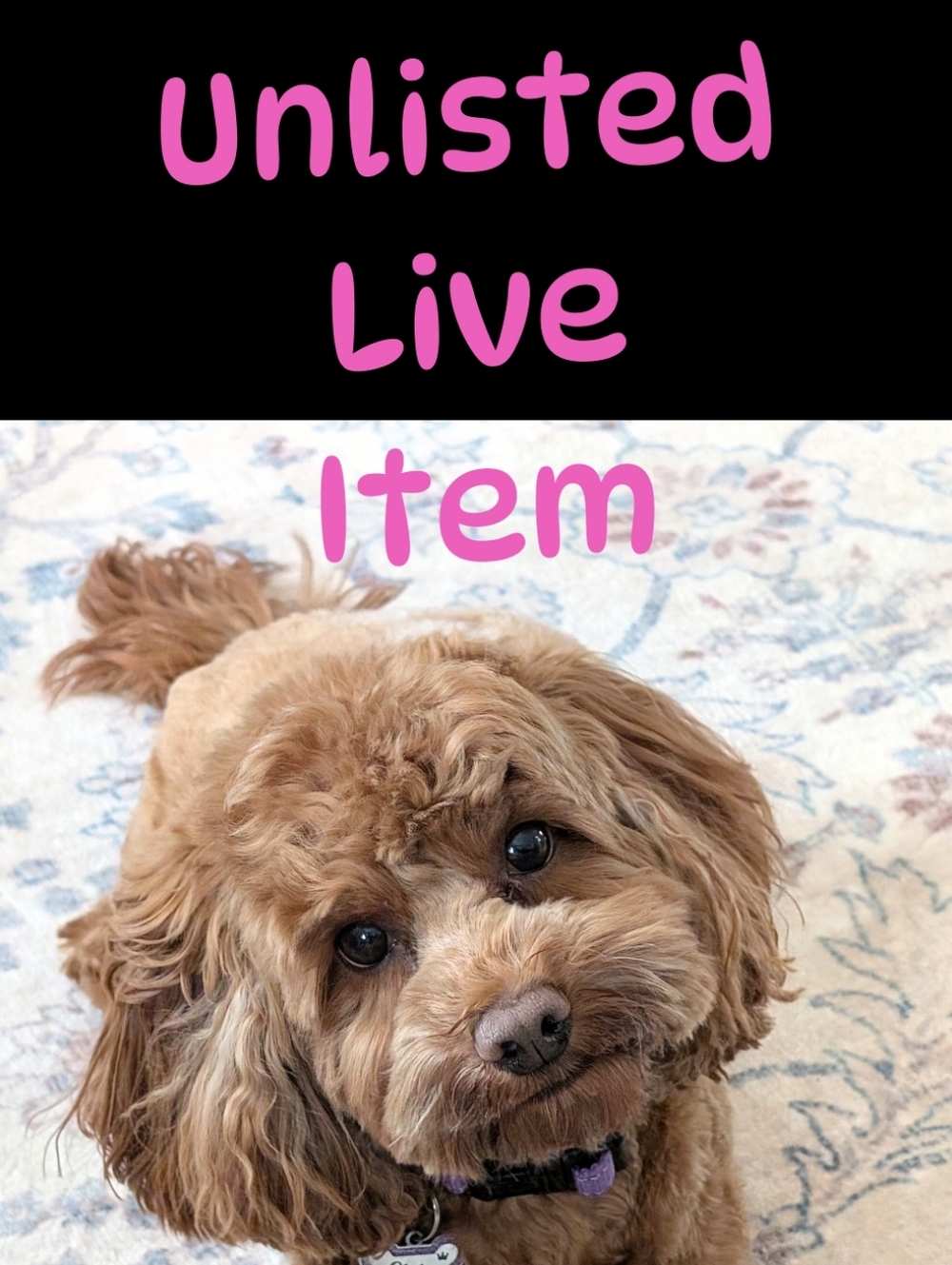 Unlisted Item - LIVE Show Exclusive
